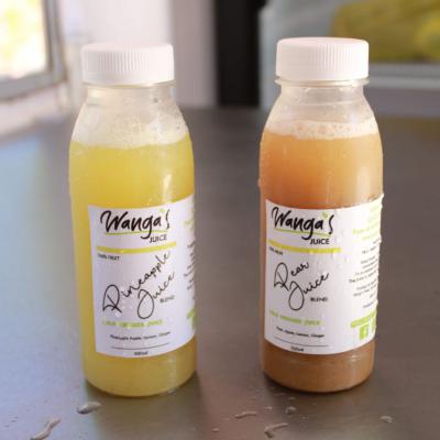 Agri Tourism Scientific Roets Agri Space Wangas Juice