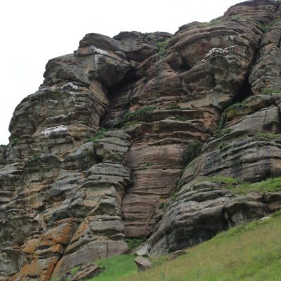 Ntsikeni Nature Reserve Endangered Bearded Vulture Nest001