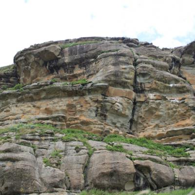 Ntsikeni Nature Reserve Endangered Bearded Vulture Nest