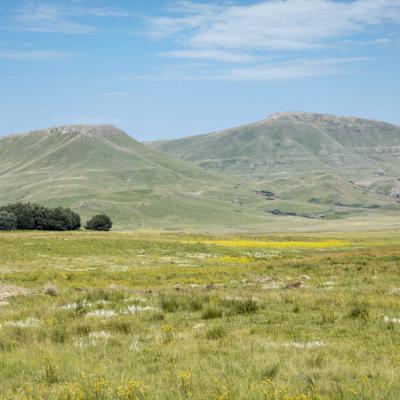 Ntsikeni Nature Reserve Grasslands