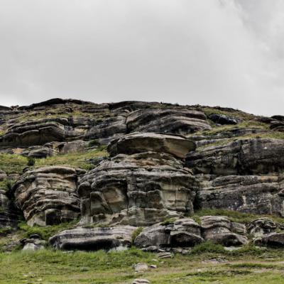 Ntsikeni Reserve Endangered Bearded Vulture Nest