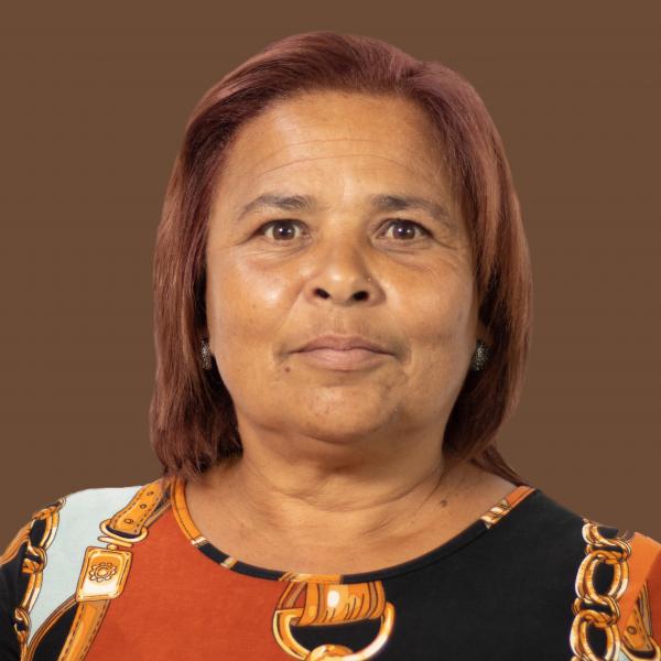 Cllr K Norsworthy Pr Da